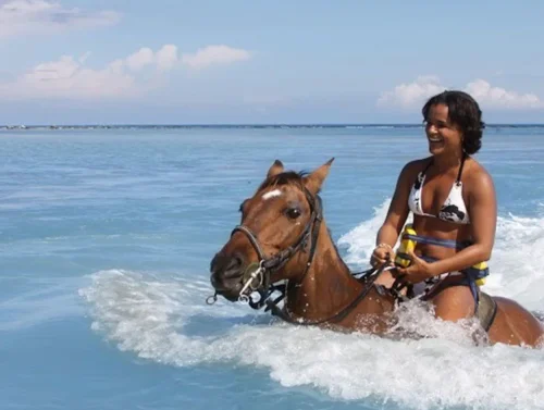 5735de29-cb7e-44d3-af35-432243b03ff5