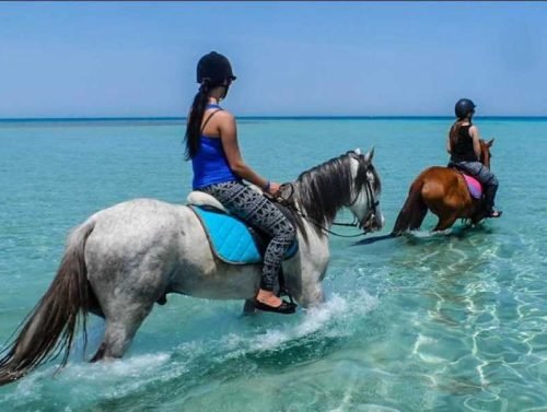 900x600-1-50-bad1f67a23df14f22f1a6289f2ec4e7b