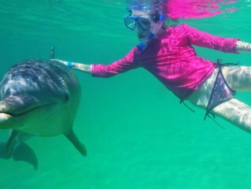 dolphin-swim-and-snorkel-mahogany-bay-isla-roatan-14