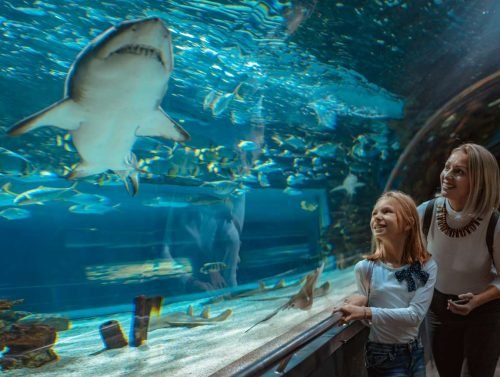 grand-aquarium-hurghada